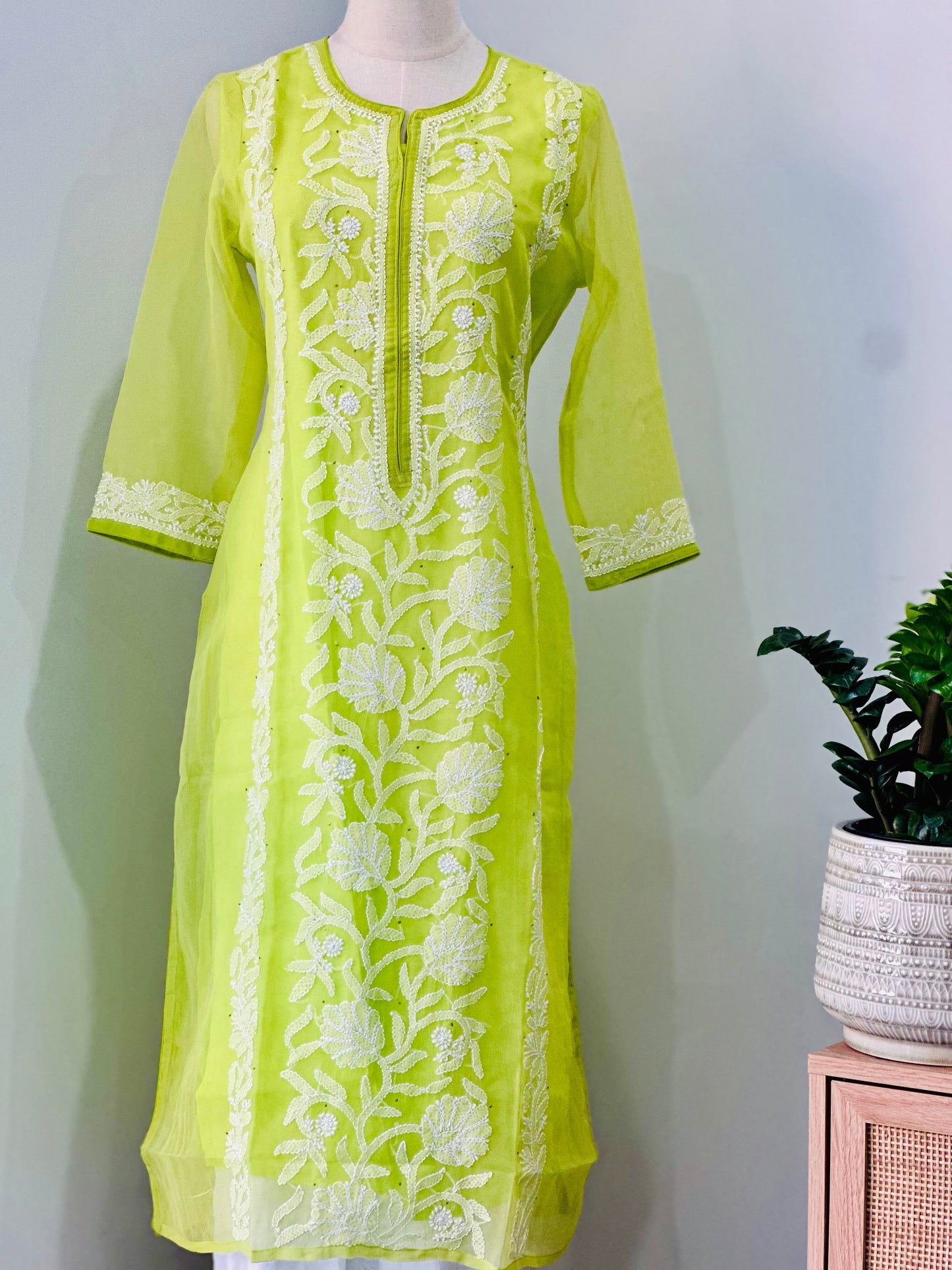 Chikankari Long Kurta In Georgette - Mint Green