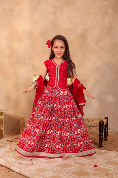 Lehenga Set