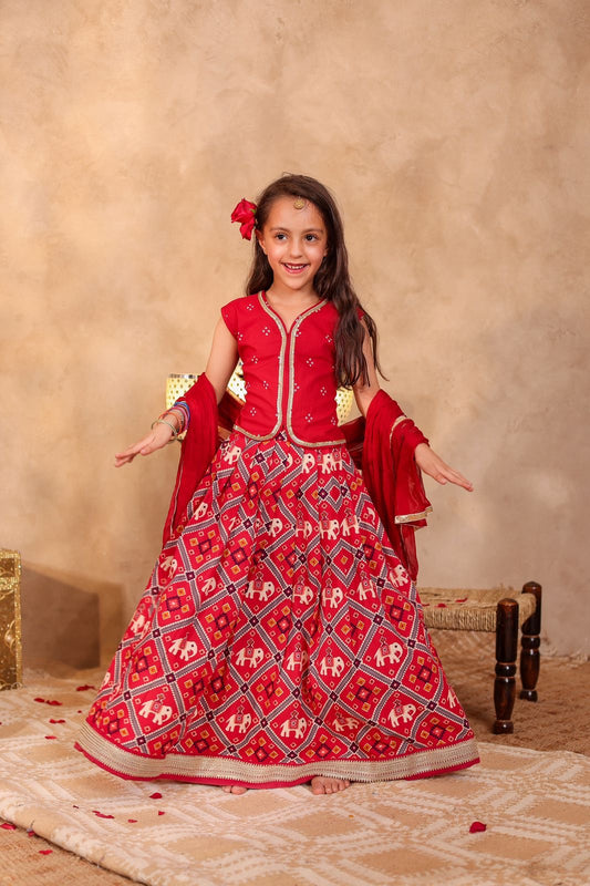 Lehenga Set