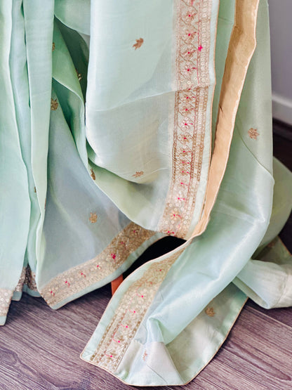 Pastel Green Glossy Soft Tissue  Saree And Blouse