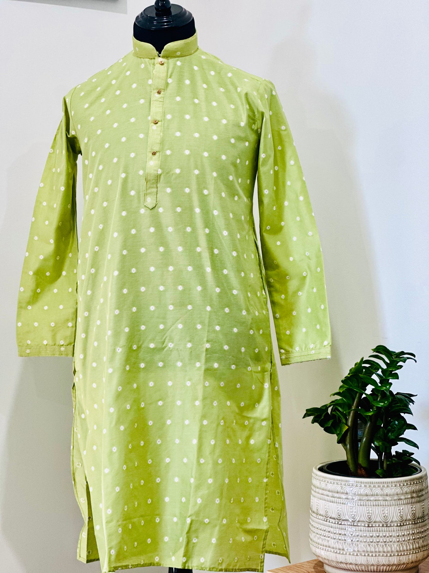 Printed Cotton Mens Long Kurta- Pastel Green