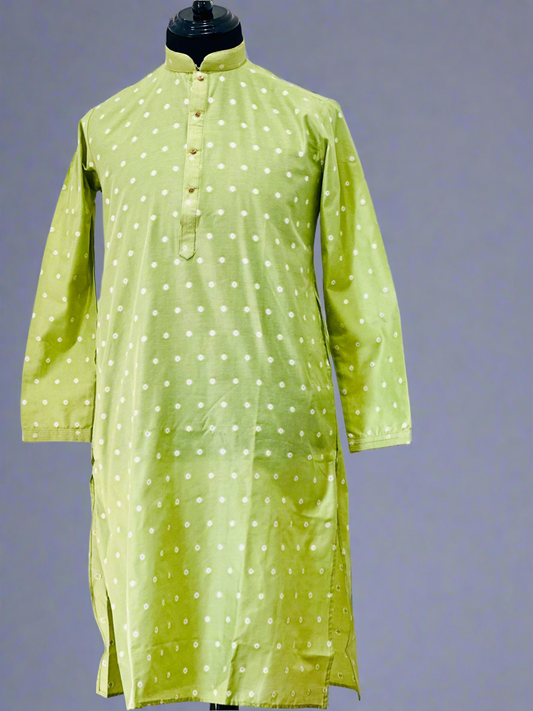 Printed Cotton Mens Long Kurta- Pastel Green