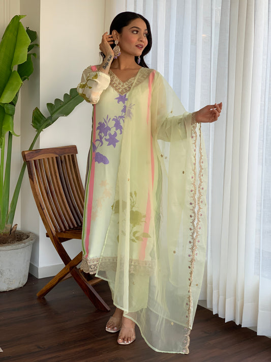 Pastel Green Printed Silk Salwar Set with Embroidery , and Three-Quarter Sleeves