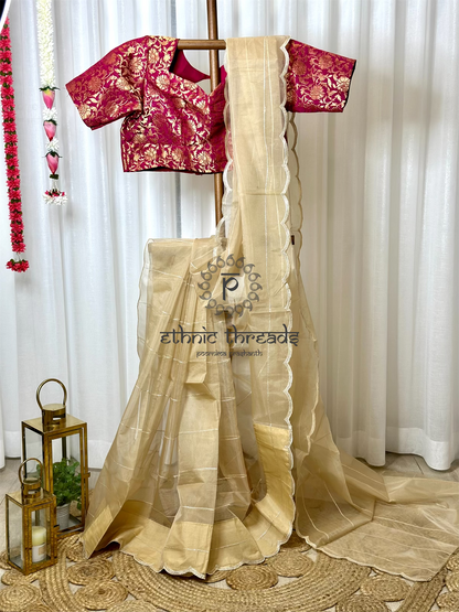 Organza Saree with Banarasi Blouse