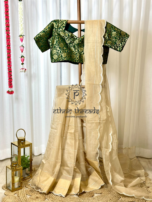 Organza Saree with Banarasi Blouse