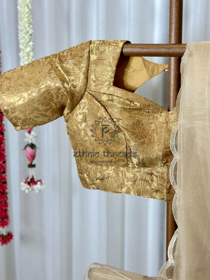 Organza Saree with Banarasi Blouse