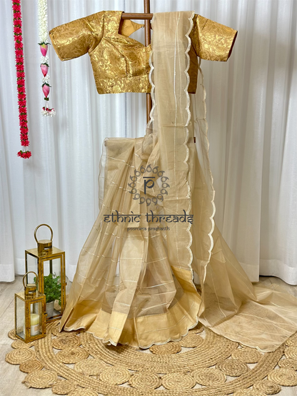 Organza Saree with Banarasi Blouse