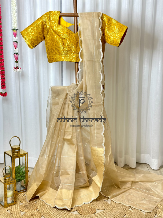 Organza Saree with Banarasi Blouse