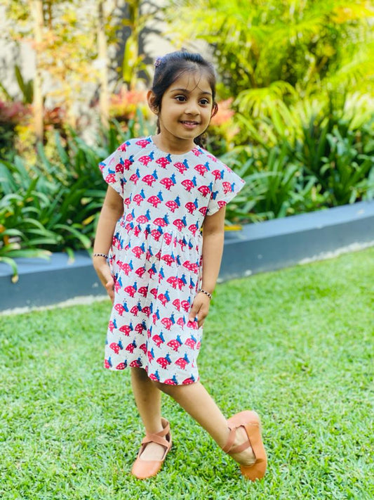 Kids cotton wear - frocks